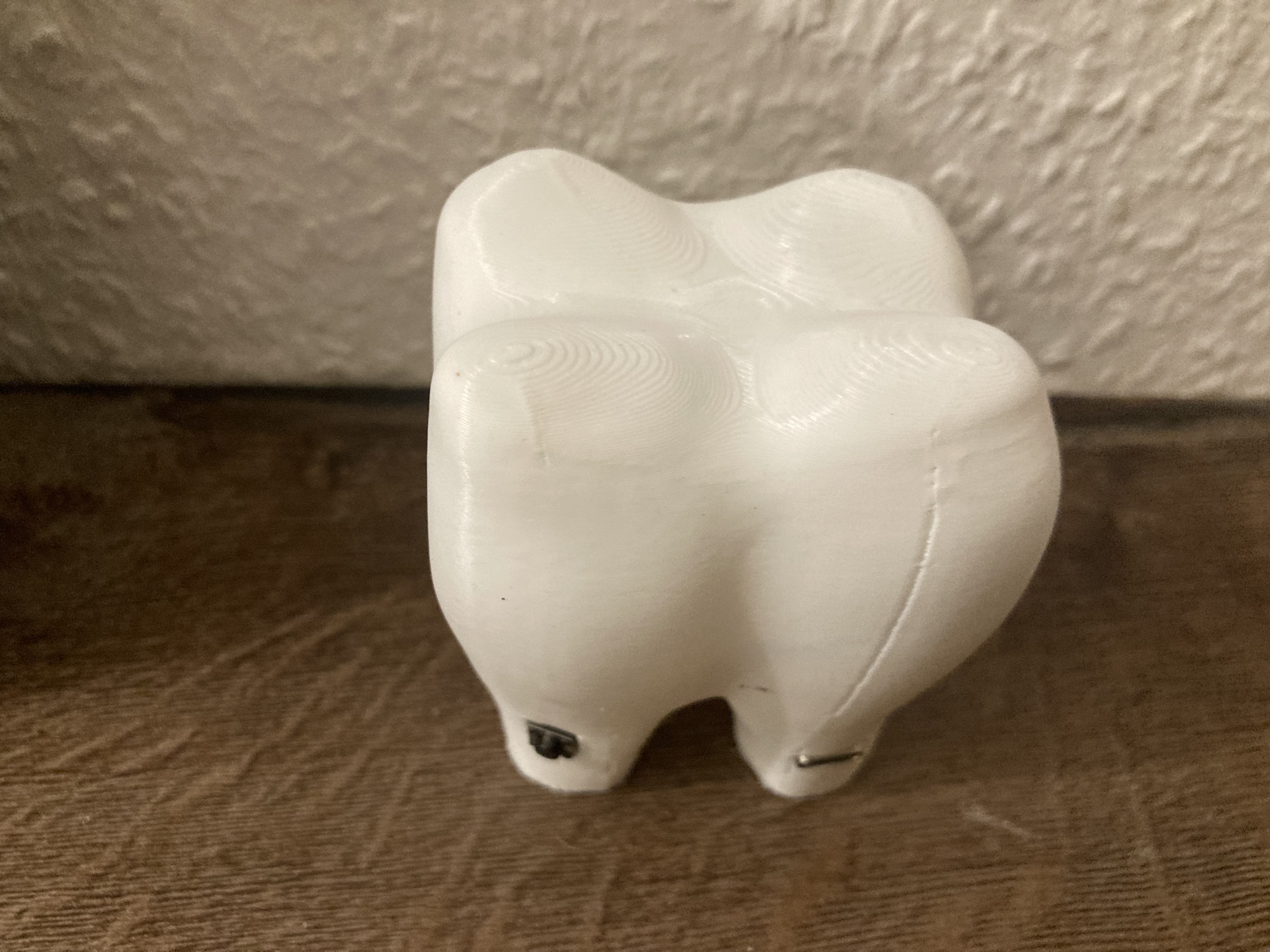 🦷✨ Leuchtender 3D-Zahn – Der smarte Zahnputz-Timer für Kinder &amp; Technikfans!