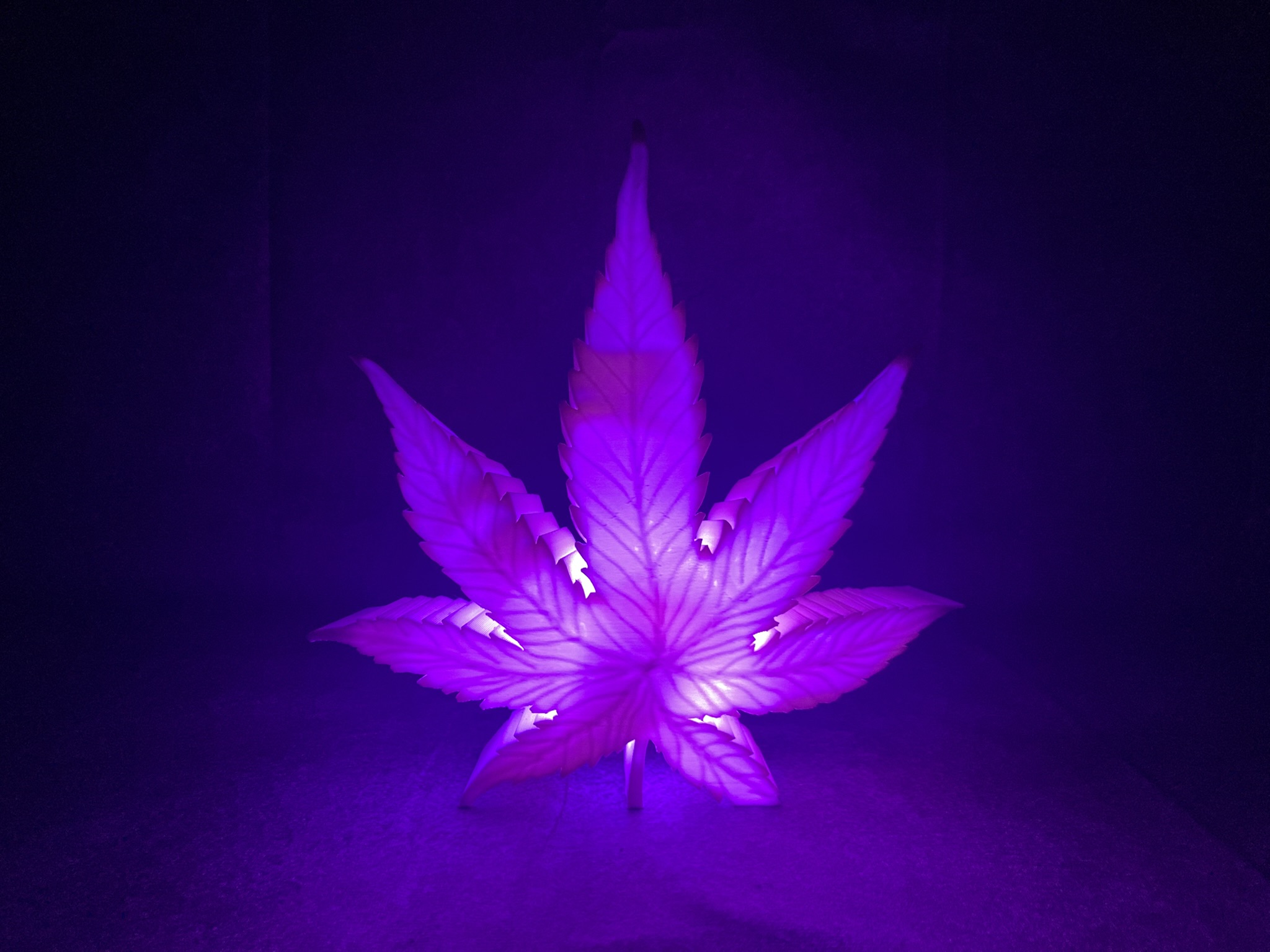 LED Hanfblatt Lampe 🌿 – USB-C Designleuchte mit RGB Effekten und Mikrocontroller