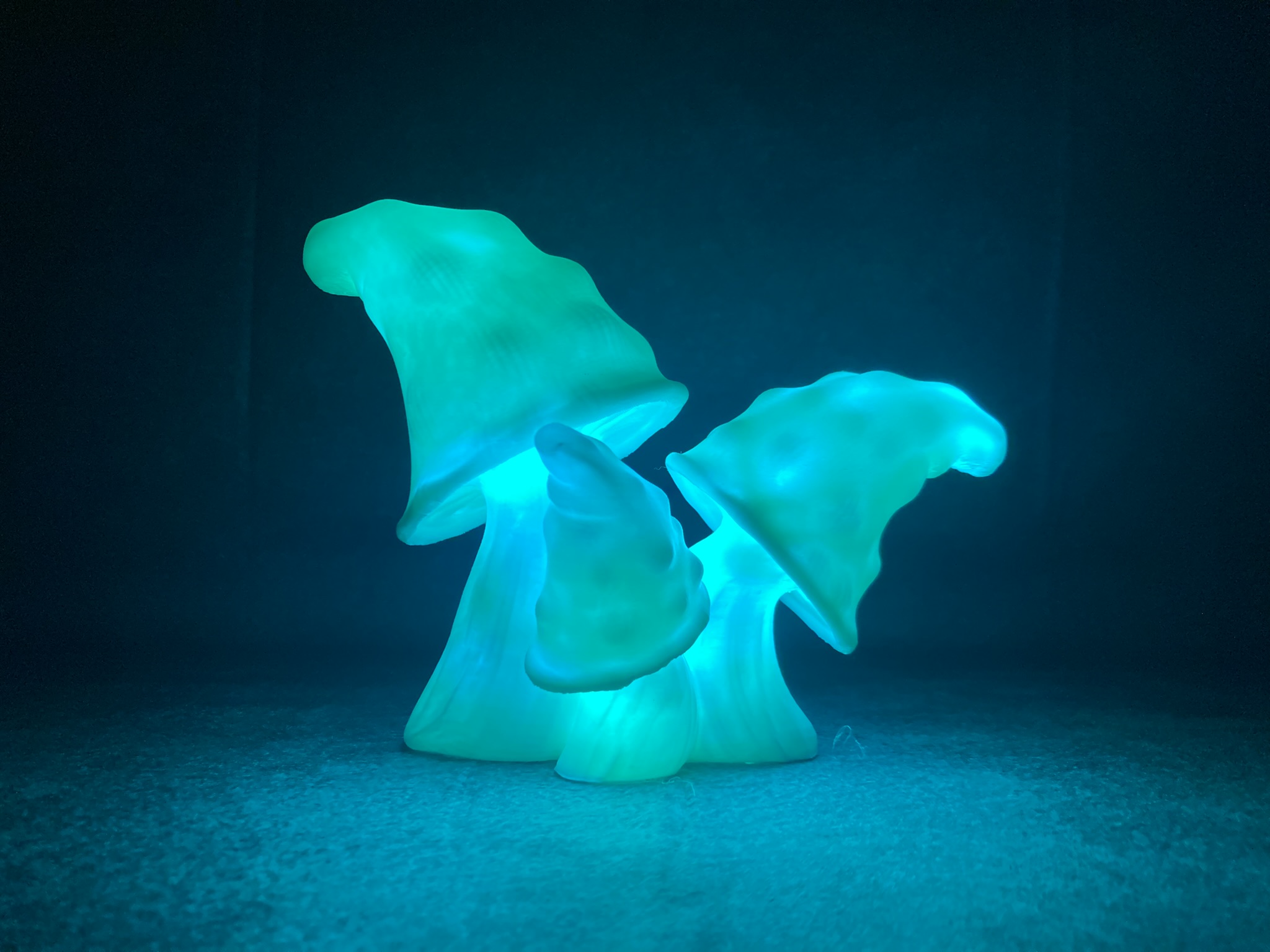 🍄 3D Mushroom Light – Handgemachte LED-Lampe mit magischem Glow 🔮