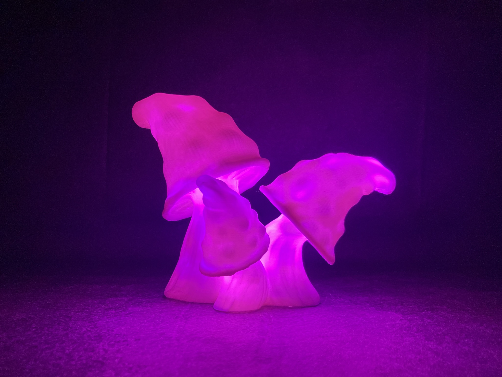 🍄 3D Mushroom Light – Handgemachte LED-Lampe mit magischem Glow 🔮