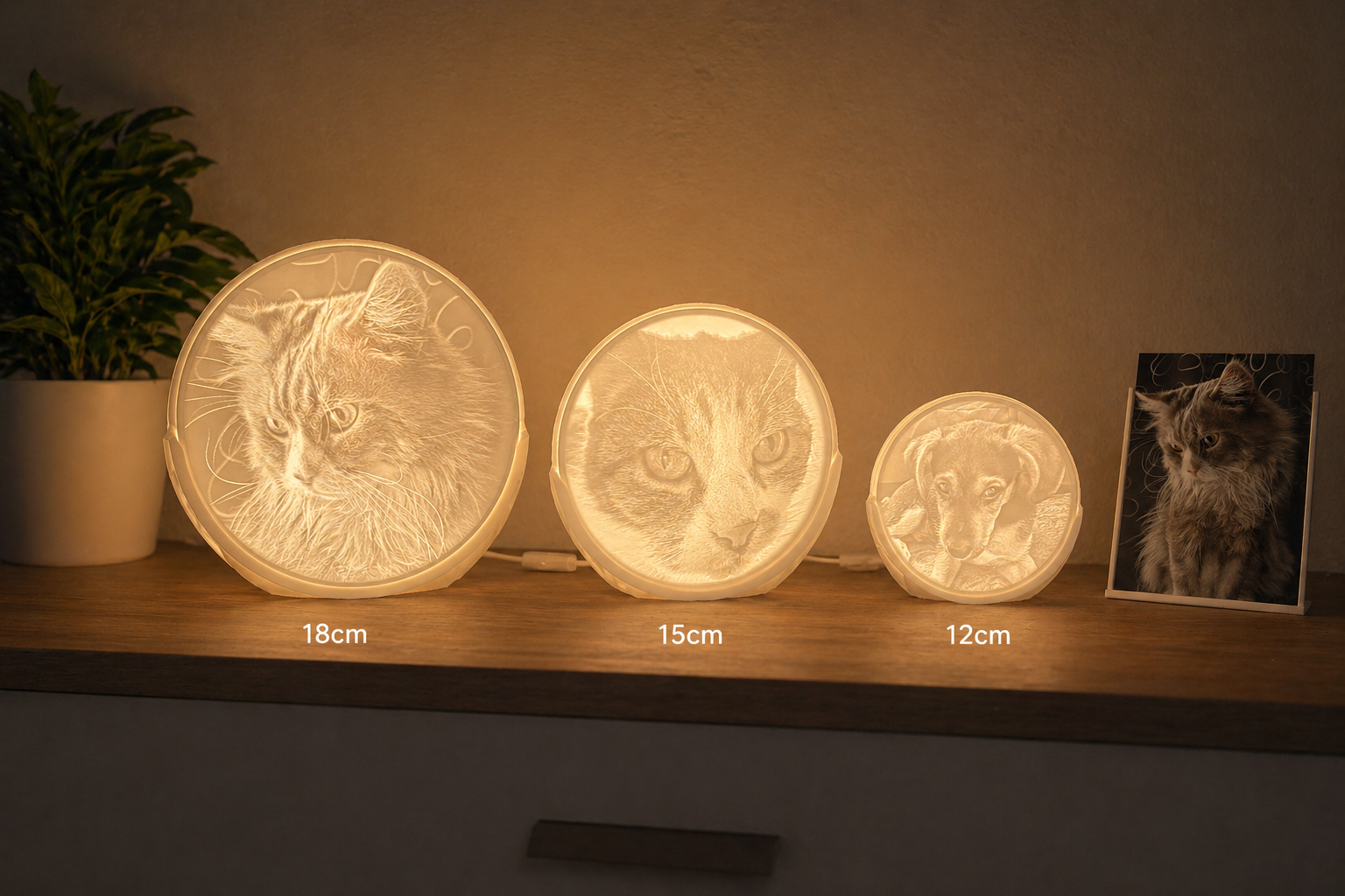 3D Foto Lampe – personalisierter Bilderrahmen (rund)