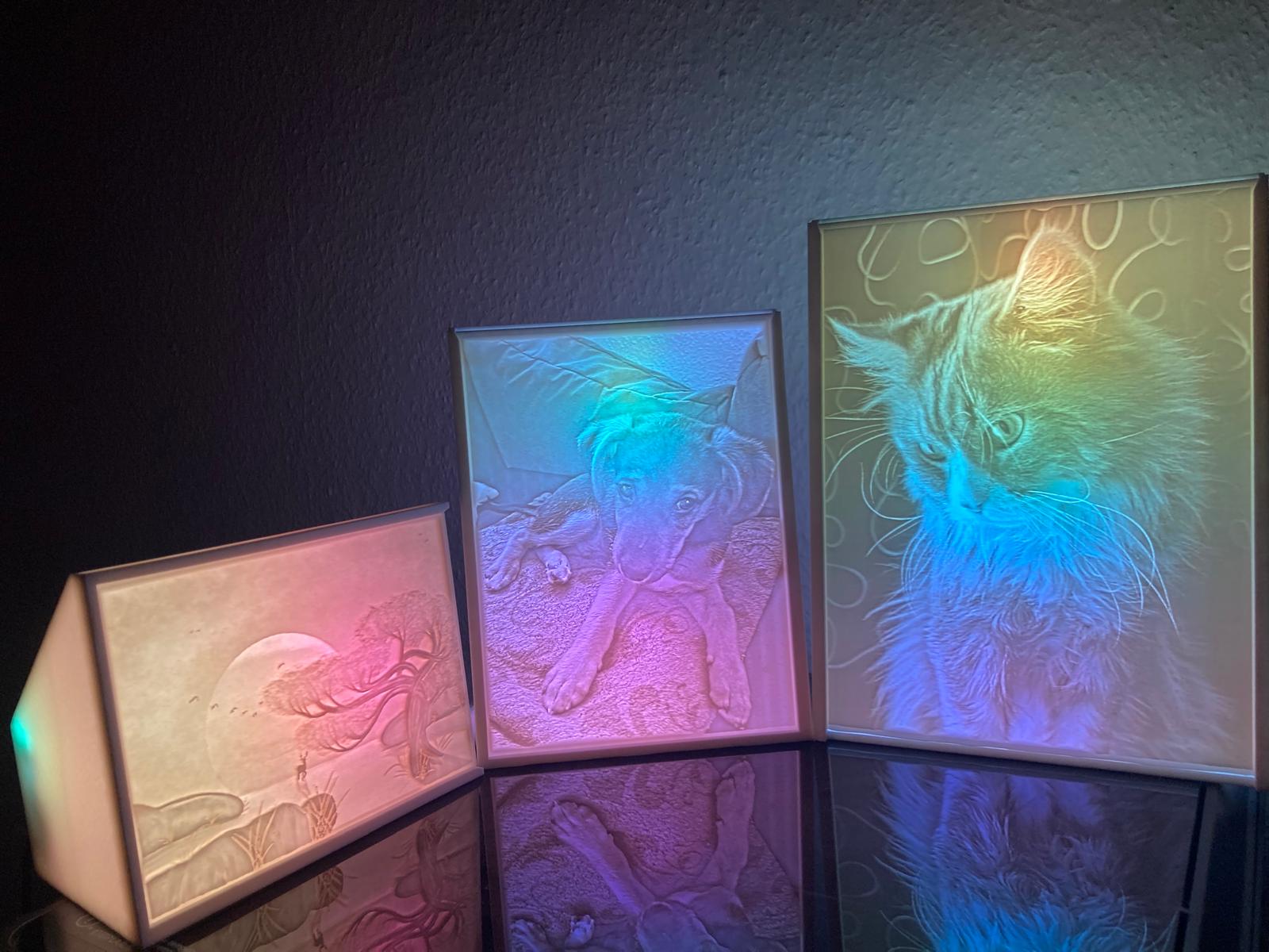 Premium 3D LED Lampen